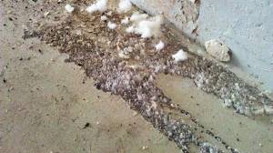 moisture problem with garage floor