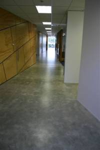 Surface Polished Concrete