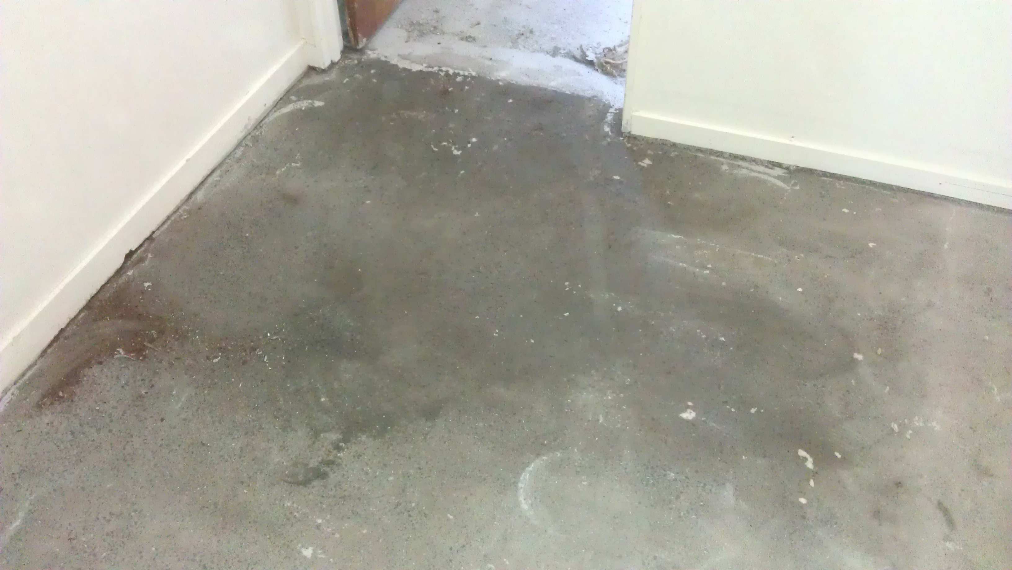 Moisture Barrier Damp Proofing Concrete Floor Coatings And